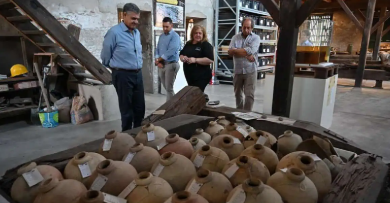 Captura de pantalla 2026 02 16 194411 768x468 1